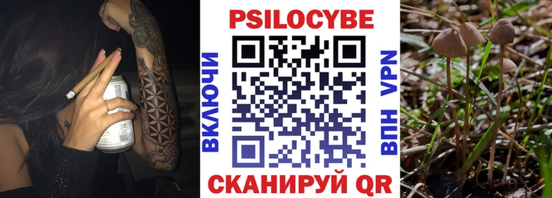 kraken tor Копейск Псилоцибиновые грибы MAGIC MUSHROOMS где можно купить наркотик
